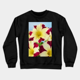 Petunia Amore Queen of Hearts Amore series Crewneck Sweatshirt